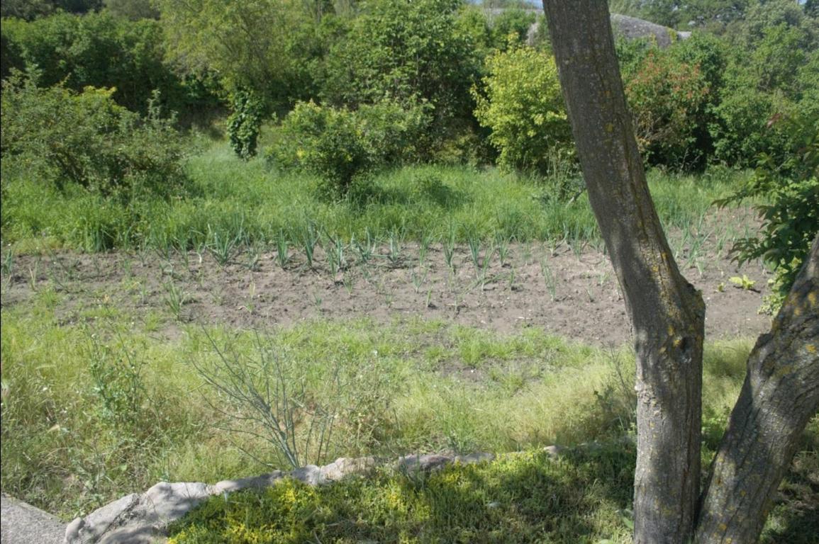 Masoveria La Roca Sagas Екстериор снимка